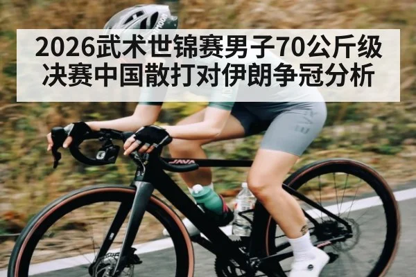 2026武术世锦赛男子70公斤级决赛中国散打对伊朗争冠分析